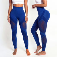 Sculpt Mesh Leggings