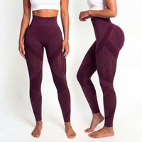 Sculpt Mesh Leggings